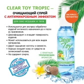 Очищающий спрей для игрушек CLEAR TOY Tropic - 100 мл. - Биоритм - купить с доставкой в Армавире