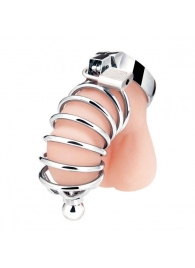 Серебристая клетка для члена Urethral Play Cage - BlueLine - купить с доставкой в Армавире