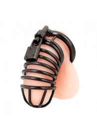 Черная металлическая клетка с замком Deluxe Chastity Cage - BlueLine - купить с доставкой в Армавире