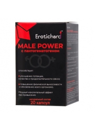 Капсулы для мужчин Erotichard male power с пантогематогеном - 20 капсул (0,370 гр.) - Erotic Hard - купить с доставкой в Армавире