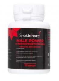 Капсулы для мужчин Erotichard male power с пантогематогеном - 20 капсул (0,370 гр.) - Erotic Hard - купить с доставкой в Армавире