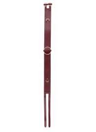 Бордовый ремень Halo Waist Belt - размер L-XL - Shots Media BV - купить с доставкой в Армавире