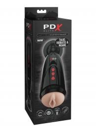 Мастурбатор-вагина с вибрацией Dirty Talk Starter Stroker - Pipedream - в Армавире купить с доставкой