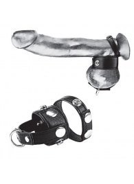 Утяжка для мошонки и пениса Cock Ring With 1  Ball Stretcher And Optional Weight Ring - BlueLine - купить с доставкой в Армавире