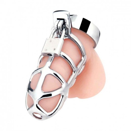Серебристая металлическая клетка для члена с замком Enslave Cock Cage - BlueLine - купить с доставкой в Армавире