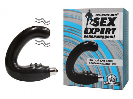 Чёрный массажёр простаты серии Sex Expert - Sex Expert - в Армавире купить с доставкой