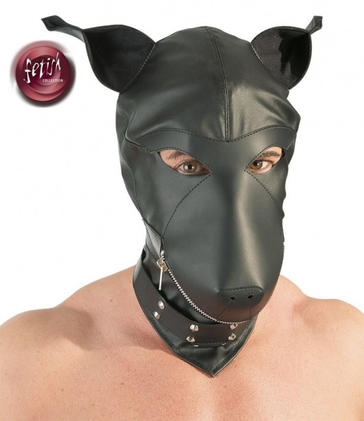 Шлем-маска Dog Mask в виде морды собаки - Orion - купить с доставкой в Армавире